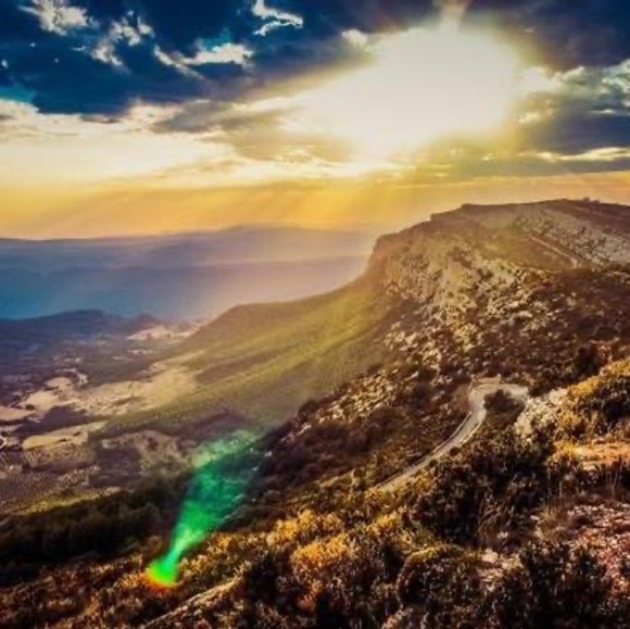 Meet your Posher, Alex - Picture 1 of 1